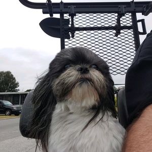 Meet your Posher, Robert